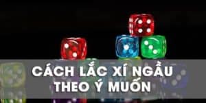Cách Lắc Xí Ngầu - Phương Pháp Làm Chủ Ván Cược Bài Bạc