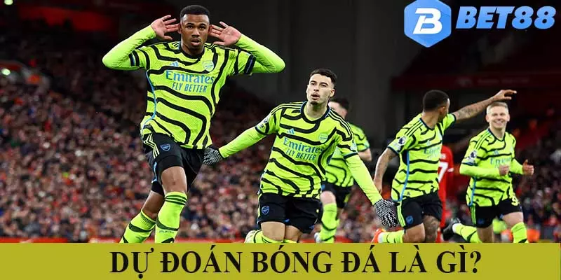Tìm hiểu khái niệm dự đoán bóng đá chi tiết